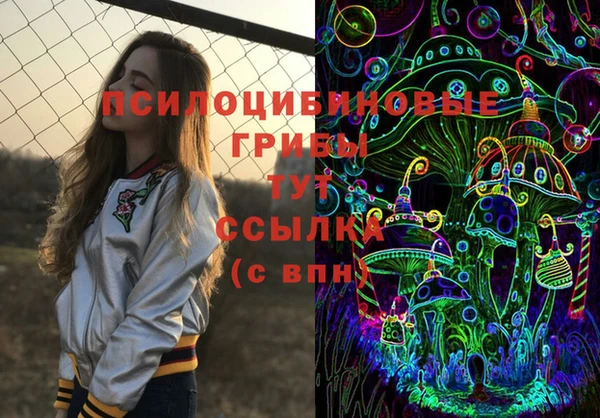 ПСИЛОЦИБИНОВЫЕ ГРИБЫ Переславль-Залесский