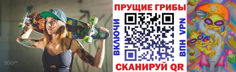 Псилоцибиновые грибы Psilocybe  Купить где  Зеленодольск 